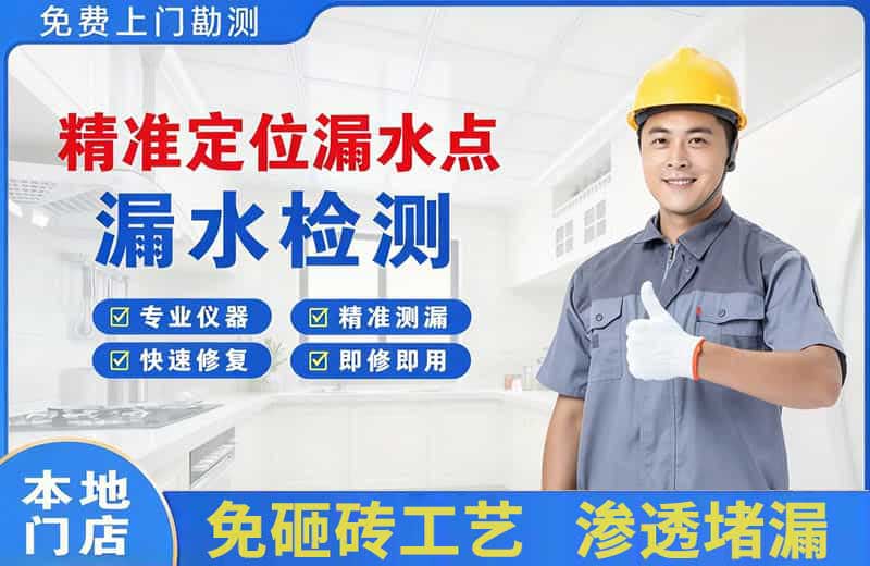 大竹精准测漏点